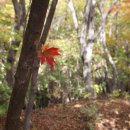 [2022.10.16]칠곡 가산산성 둘레길 6 이미지