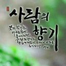 매실농장 이미지