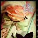 중리동사무소 이미지