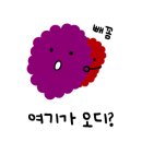 힘이난다장어 이미지
