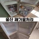 클린 컴퍼니(CLEAN COMPANY)