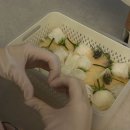 상구전자 | 부케순이의 선물 프로젝트💐 꽃 자연 건조/실리카겔 인공 건조 비교