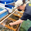 새만금종합수산시장 이미지