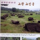 고인돌약국 이미지