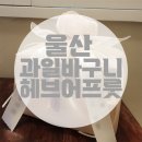 [울산 과일바구니] 헤브어프룻 핸들박스 스몰 예약 및 수령 후기