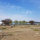 강일 농장 이미지