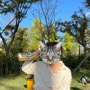 용원셀프세차장 이미지