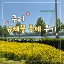 [구리로그] 국내 유채꽃 축제 중 1위? 구리 유채꽃 축제/구리농수산물공사 부스 후기