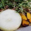 코리안덕 이미지