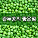 완두콩 이미지