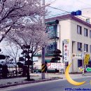 황산복집 이미지