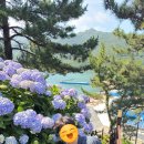 수국주유소