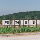 구드래 먹자골목 이미지