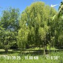 이마트24KK점 | 일상과 이모저모