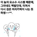 인하카마스타 이미지