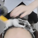 원주무실동두피관리) 셀비오 지루성두피 트러블관리 이어테라피 +이벤트