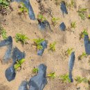 산진농장 이미지