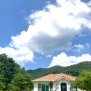 타샤의 숲속 이미지