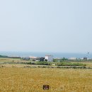 바라보다트립