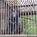 연합농장 이미지