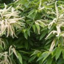 율목동사무소 이미지