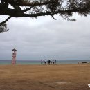 남정면사무소 이미지