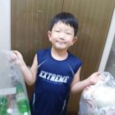 계명대 박사 현대태권도 이미지
