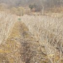 농골농장 이미지