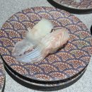 국도2호선 | 구리 회전초밥 스시도로 2호점 후기 | 전접시 2,000원 가성비 초밥 맛집