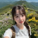 야생화길 | 묻어두었던 버킷리스트 실현! 태백 금대봉 야생화길 트레킹 완주 후기