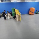 용인대 신안키즈태권도장 | 파주태권도장 우리 아이를 위한 꿈의 운동 공간, 신안키즈태권도장 체험기