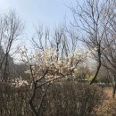 ㈜태영기술 | 2024년도 지주회사 현황 공개