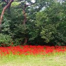 신지생태공원 이미지