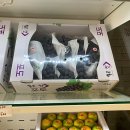 달감마트 | 포항의 맛있는 과일명소, 달품과를 소개합니다! 🍍🍉