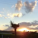 JNJ 빌리지 이미지