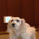 기은오토 이미지