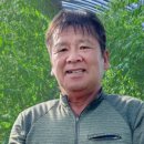 싱싱상회 네이버블로그