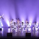 LED비바츠 태권발레 이미지