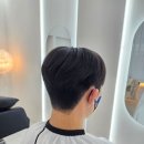 곱슬 때문에 선택한 백석동미용실 솔헤어 시스루댄디컷 후기