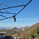 안심산길 | 여수롤글라이더 후기｜여수유월드 액티비티·여수놀거리 정리