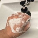 지에이치(GH)자연건강 | 한채아 PICK 쿠니 센트릭 탈모완화샴푸, 향까지 좋은 비건샴푸 사용후기