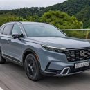 (유)아웃백스테이크하우스코리아 광교점 | 혼다 CR-V 하이브리드 vs 터보 시승 후기(도요타 RAV4와 비교)