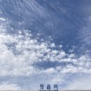 떳다김밥천국 이미지