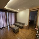 로카와 델피노2 이미지