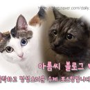 들깨향 장수밀 이미지