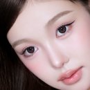 디크로 네이버블로그