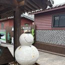 나라애견본점 | 가평 남이섬 애견동반 당일치기 여행 - 티켓 예약, 애견운동장 투개더파크, 인생네컷, 간식, 명가...