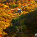 내장산 관광안내소 이미지