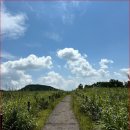 무장사지 화장실 이미지