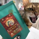 마미나은 | 쾌뇨펫 고양이영양제 급여 후기 고양이음수량 케어에 딱 맞춘 우리 뽀뽀의 변화